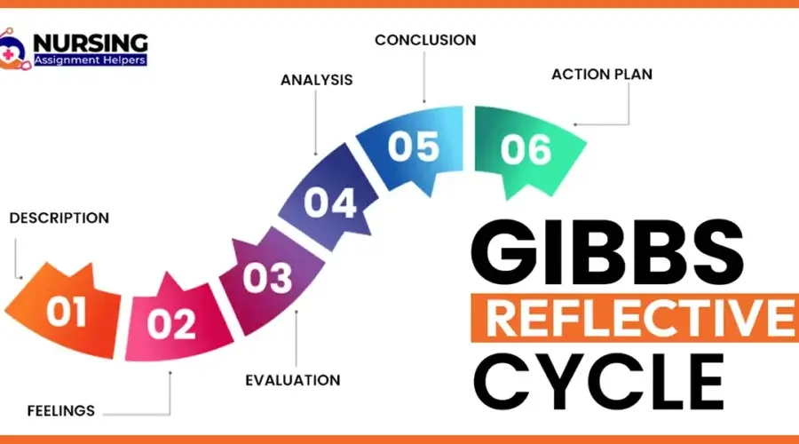Importance of Gibbs Reflective Cycle Why It Matters for Learning, Growth, and Professional Success