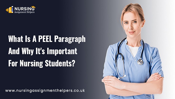 What Is a PEEL Paragraph and Why It is Important for Nursing Students