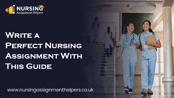Write a Perfect Nursing Assignment With This Guide